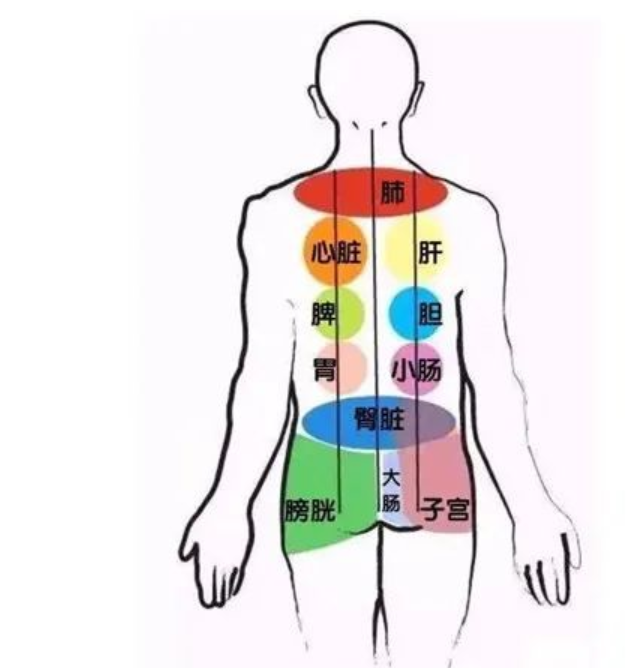 做背1次和10次,差别真大!因为痛就不坚持的亏大了!