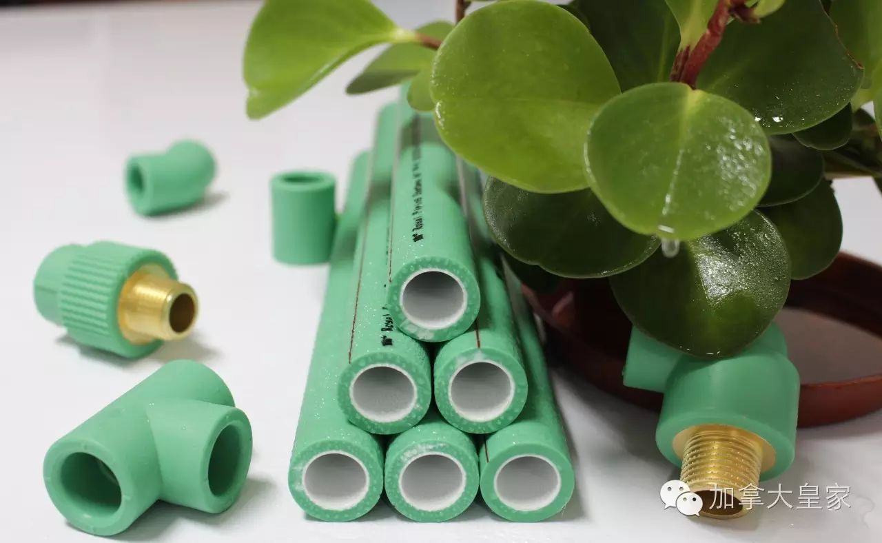 加拿大皇家‖银离子抗菌pp-r管路系统