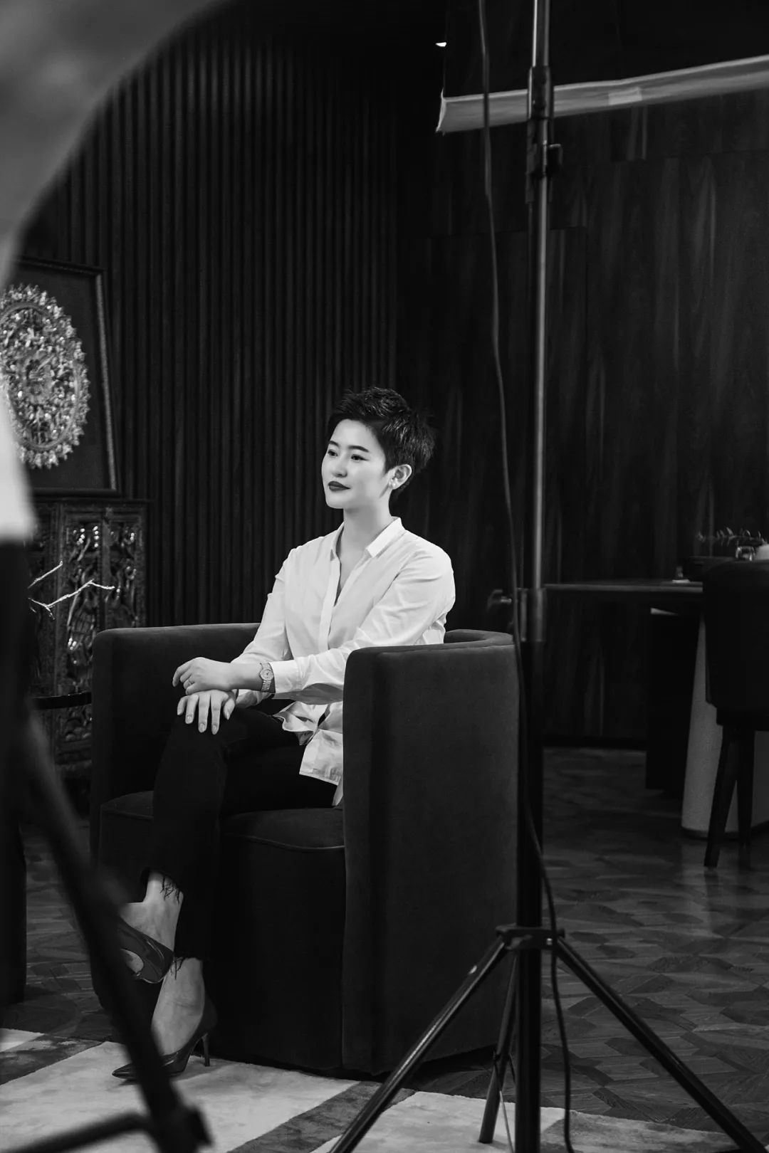 碧斯诺兰集团(美牙完美大使)创始人陈萍董事长介绍