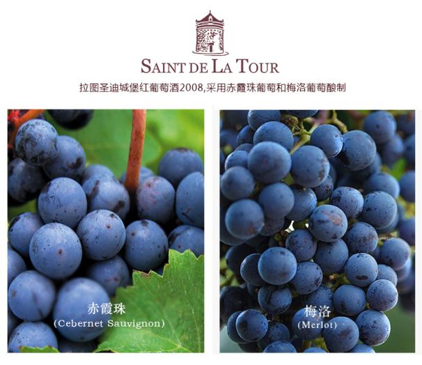 独具风格的拉图圣迪城堡2008