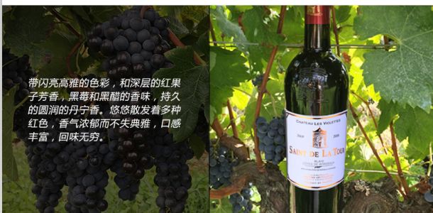 独具风格的拉图圣迪城堡2008